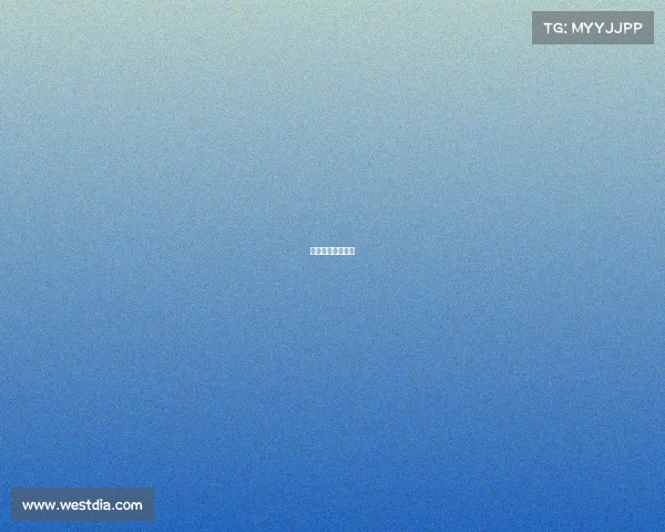 电竞选手有助理吗